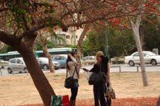 Lady in park